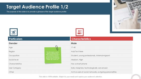Action Plan For Brand Revitalization To Attract Target Customers Target Audience Profile Category Portrait PDF