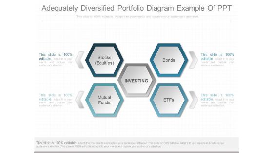 Adequately Diversified Portfolio Diagram Example Of Ppt