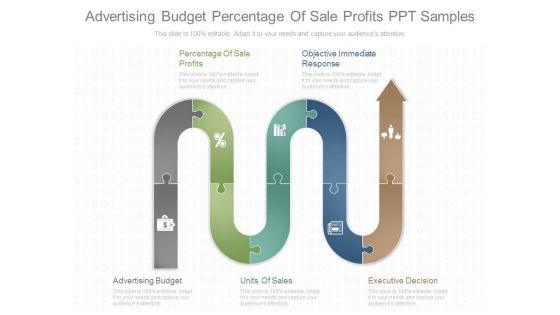 Advertising Budget Percentage Of Sale Profits Ppt Samples