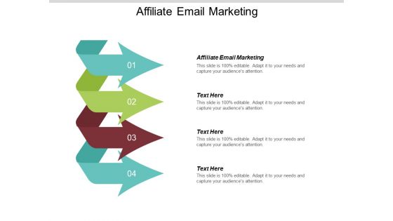 Affiliate Email Marketing Ppt PowerPoint Presentation Portfolio Introduction Cpb