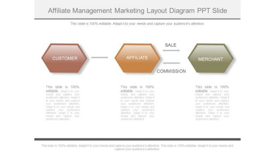 Affiliate Management Marketing Layout Diagram Ppt Slide