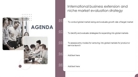 Agenda International Business Extension And Niche Market Evaluation Strategy Graphics PDF