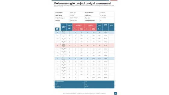 Agile Framework Playbook For Project Management Template
