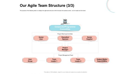 Agile Prioritization Methodology Our Agile Team Structure Committee Ppt Ideas Graphics PDF