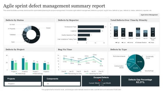Agile Sprint Defect Management Summary Report Structure PDF Agile Sprint Defect Management Summary Report Structure PDF