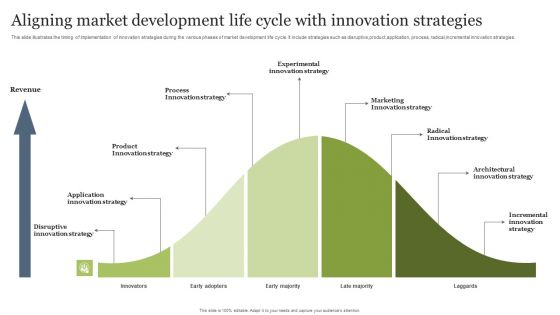 Aligning Market Development Life Cycle With Innovation Strategies Infographics PDF Aligning Market Development Life Cycle With Innovation Strategies Infographics PDF
