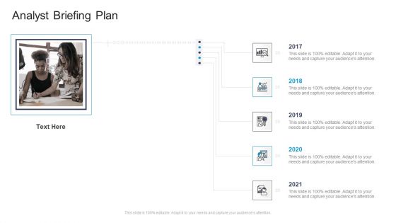 Analyst Briefing Plan Commercial Marketing Guidelines And Tactics Download PDF