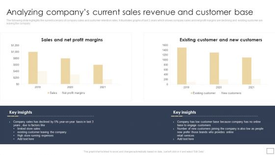 Analyzing Companys Current Sales Revenue And Customer Base Graphics PDF