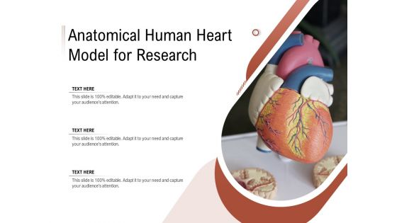 Anatomical Human Heart Model For Research Ppt PowerPoint Presentation Gallery Graphics Pictures PDF