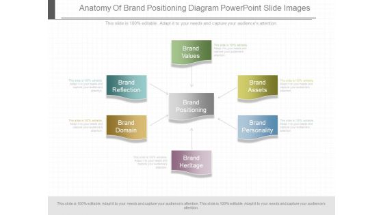 Anatomy Of Brand Positioning Diagram Powerpoint Slide Images