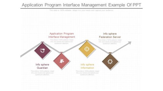 Application Program Interface Management Example Of Ppt