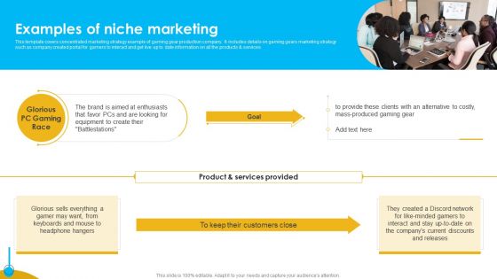 Approaches To Targeting New Customers In Various Markets Examples Of Niche Marketing Inspiration PDF