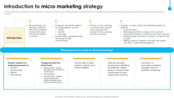 Approaches To Targeting New Customers In Various Markets Introduction To Micro Marketing Template PDF