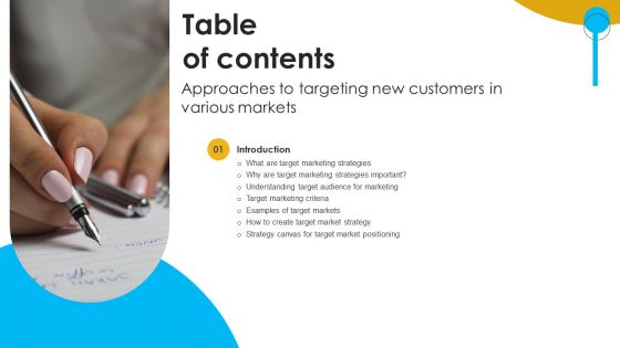 Approaches To Targeting New Customers In Various Markets Table Of Contents Designs PDF