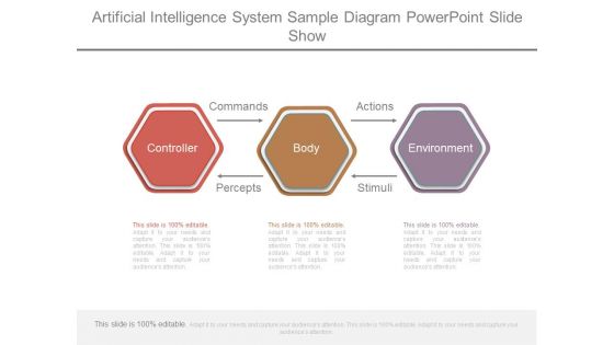 Artificial Intelligence System Sample Diagram Powerpoint Slide Show