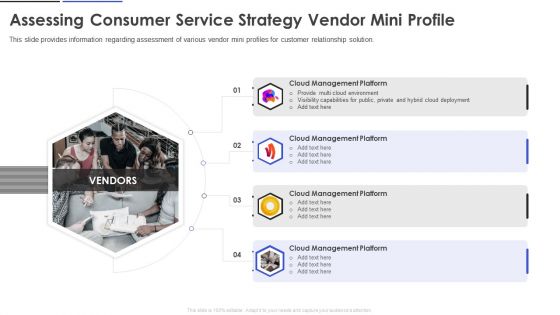 Assessing Consumer Service Strategy Vendor Mini Profile Portrait PDF