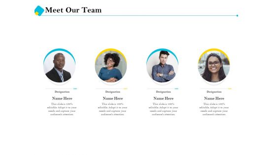 Assessment Of Fixed Assets Meet Our Team Ppt Inspiration Shapes PDF