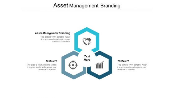 Asset Management Branding Ppt PowerPoint Presentation Infographics Influencers Cpb