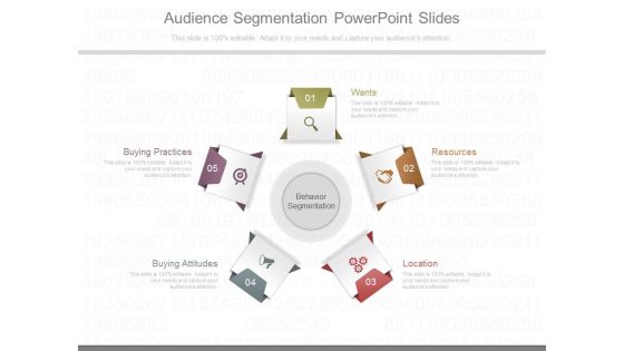Audience Segmentation Powerpoint Slides