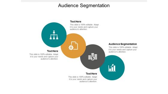 Audience Segmentation Ppt PowerPoint Presentation Model Example Cpb