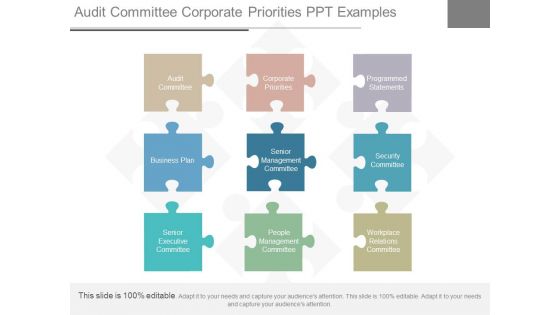 Audit Committee Corporate Priorities Ppt Examples