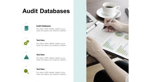 Audit Databases Ppt PowerPoint Presentation Show Samples Cpb Pdf Audit Databases Ppt PowerPoint Presentation Show Samples Cpb Pdf