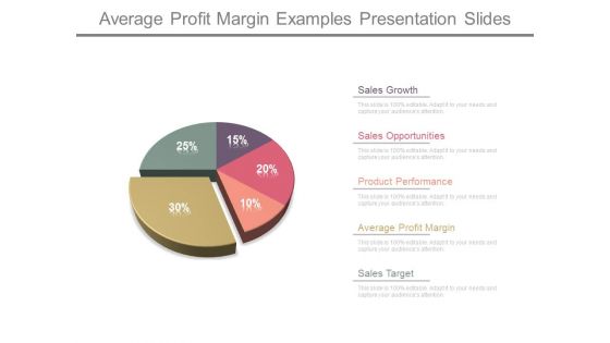 Average Profit Margin Examples Presentation Slides