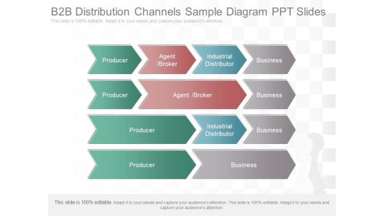 B2B Distribution Channels Sample Diagram Ppt Slides