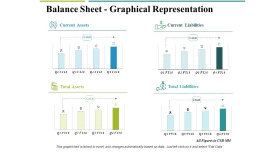 Balance Sheet Graphical Representation Ppt PowerPoint Presentation Inspiration Example Balance Sheet Graphical Representation Ppt PowerPoint Presentation Inspiration Example