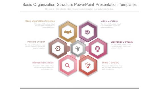 Basic Organization Structure Powerpoint Presentation Templates