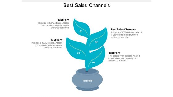 Best Sales Channels Ppt PowerPoint Presentation Summary Good Cpb