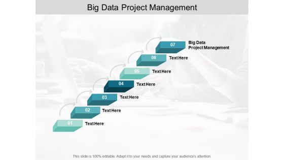 Big Data Project Management Ppt Powerpoint Presentation Portfolio Elements Cpb