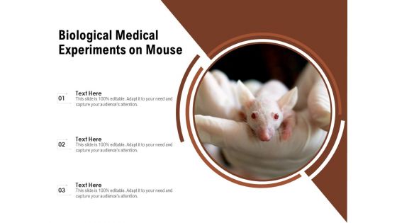 Biological Medical Experiments On Mouse Ppt PowerPoint Presentation Portfolio Deck PDF