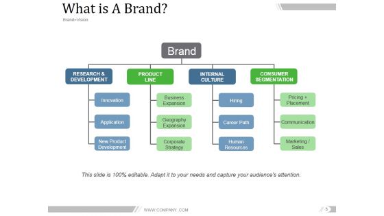 Brand Asset Valuator Model Ppt PowerPoint Presentation Complete Deck With Slides