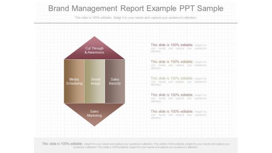 Brand Management Report Example Ppt Sample Brand Management Report Example Ppt Sample