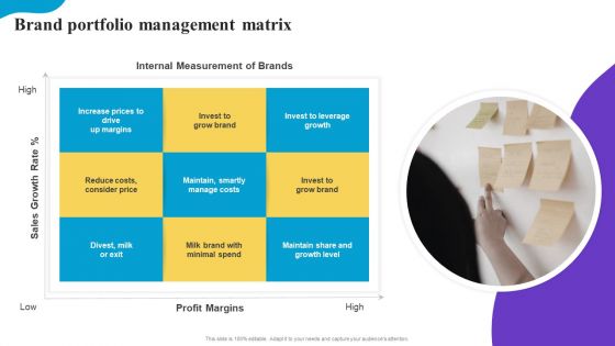 Brand Portfolio Management Matrix Brand Profile Strategy Guide To Expand Mockup PDF Brand Portfolio Management Matrix Brand Profile Strategy Guide To Expand Mockup PDF