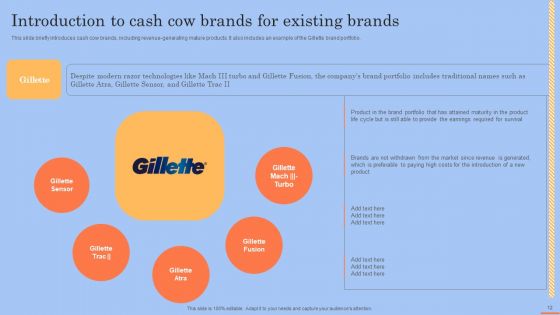 Brand Portfolio Technique And Model Ppt PowerPoint Presentation Complete Deck With Slides