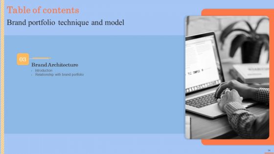 Brand Portfolio Technique And Model Ppt PowerPoint Presentation Complete Deck With Slides