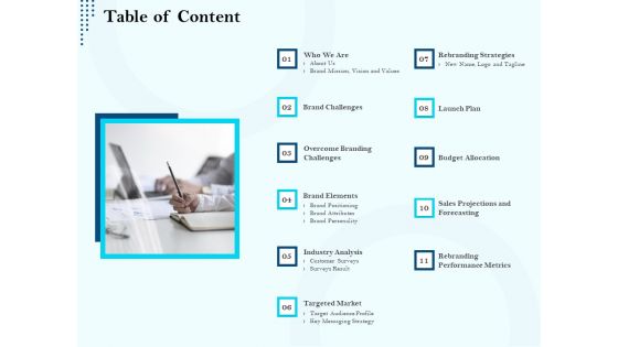 Branding Approach Marketing Strategies Table Of Content Ppt Summary Backgrounds PDF