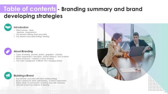 Branding Summary And Brand Developing Strategies Ppt PowerPoint Presentation Complete Deck With Slides