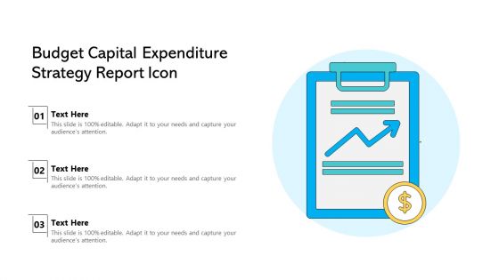 Budget Capital Expenditure Strategy Report Icon Ppt PowerPoint Presentation Gallery Show PDF