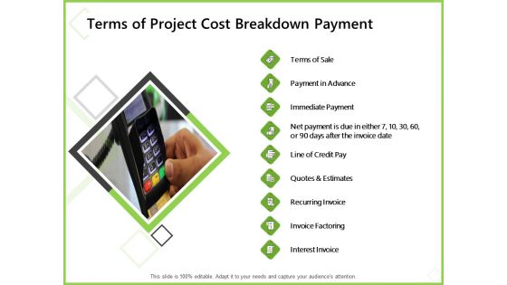 Budget Cost Project Plan Terms Of Project Cost Breakdown Payment Pictures PDF