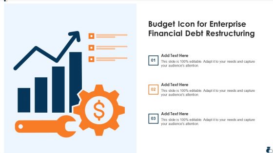 Budget Icon For Enterprise Financial Debt Restructuring Brochure PDF