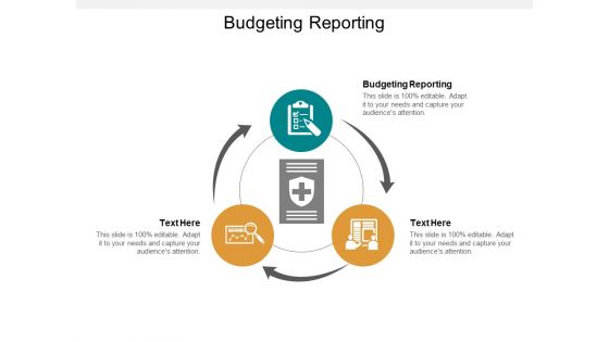 Budgeting Reporting Ppt PowerPoint Presentation Introduction Cpb