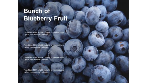 Bunch Of Blueberry Fruit Ppt Powerpoint Presentation Model Clipart Images