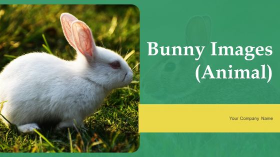 Bunny Images Animal Ppt PowerPoint Presentation Complete Deck With Slides