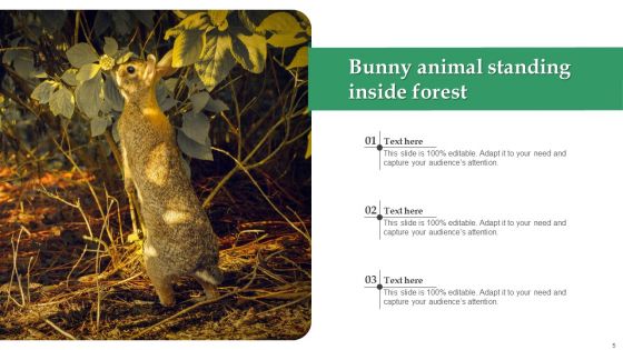 Bunny Images Animal Ppt PowerPoint Presentation Complete Deck With Slides