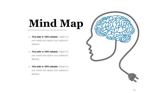 Business Advertising Techniques And Strategies Ppt PowerPoint Presentation Complete Deck With Slides