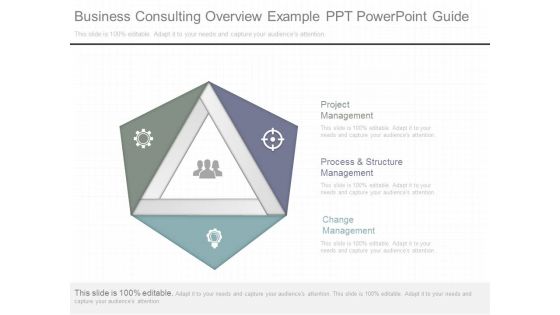 Business Consulting Overview Example Ppt Powerpoint Guide