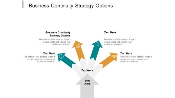 Business Continuity Strategy Options Ppt PowerPoint Presentation Infographic Template Maker Cpb